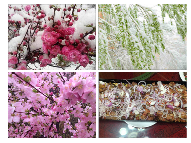 Trip to Xinjiang in April 18, 2014