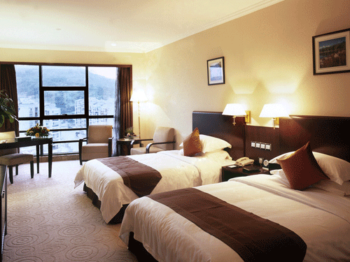 Hotel standard room